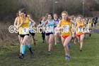 Inter Counties Schools Cross Country, Temple Park, South Shields. Photo: David T. Hewitson/Sports for All Pics